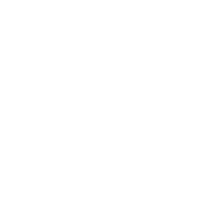 Plastership